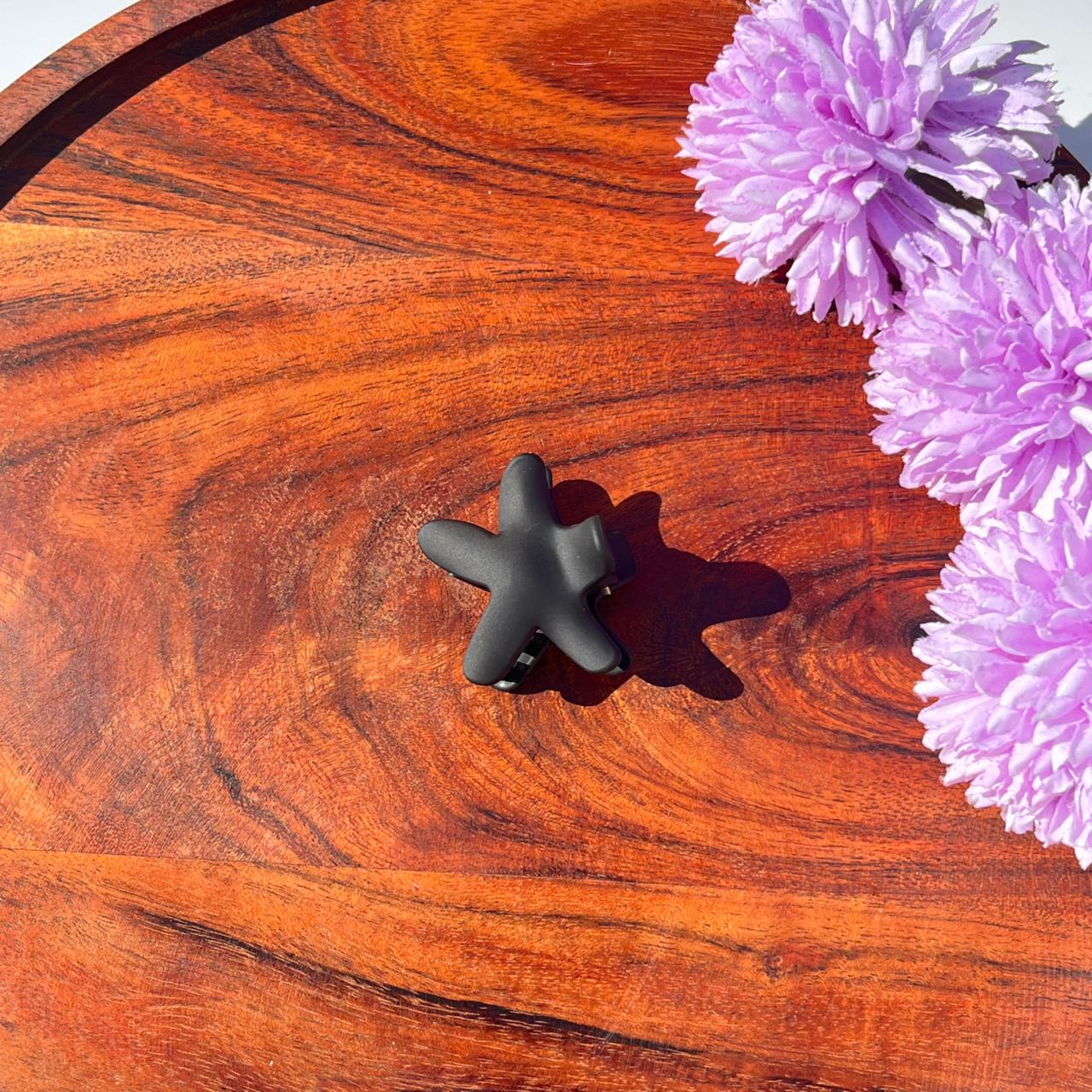 Starfish Matte Hair Clutcher - small