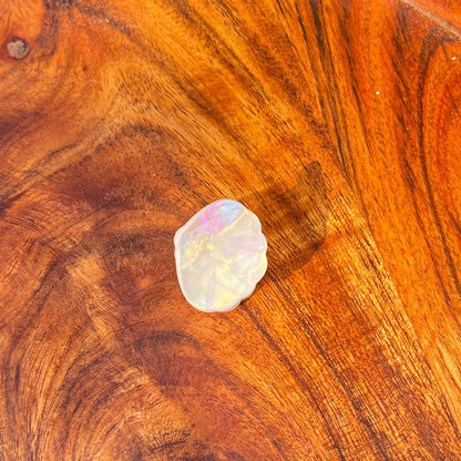 Mini Shell Sparkle Claw Clips - Small