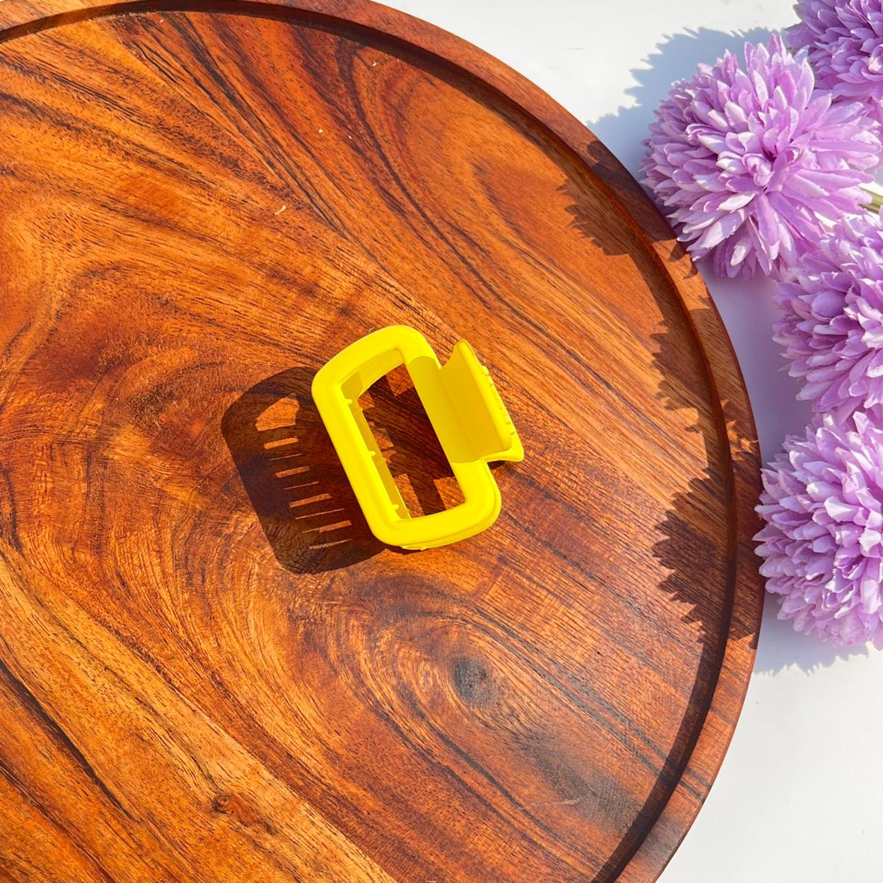 Pastel Matte Rectangle Claw Clips - Medium