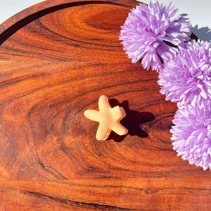 Starfish Matte Hair Clutcher - small